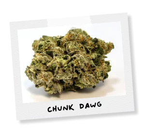 chunk dawg strain