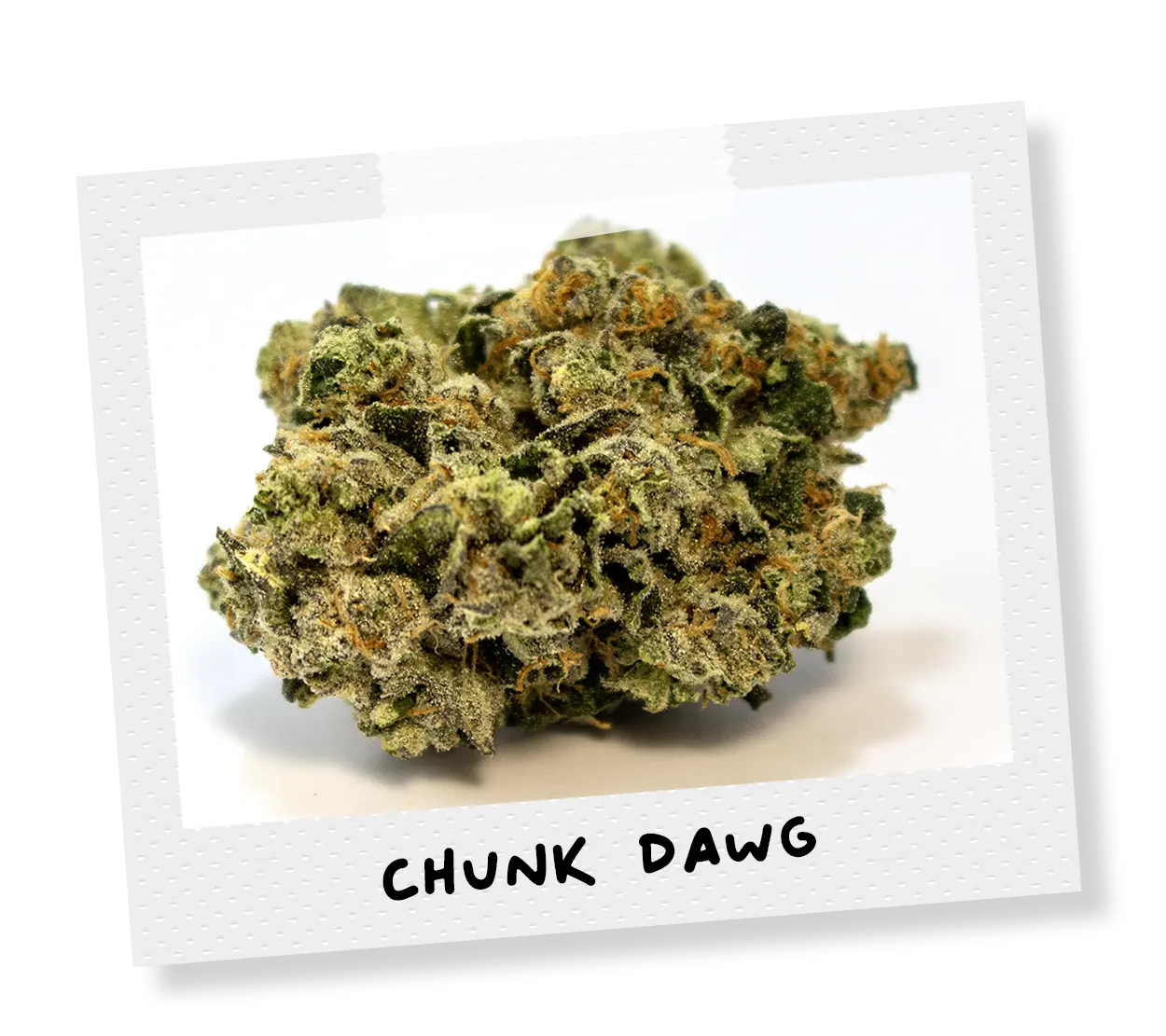 chunk dawg strain