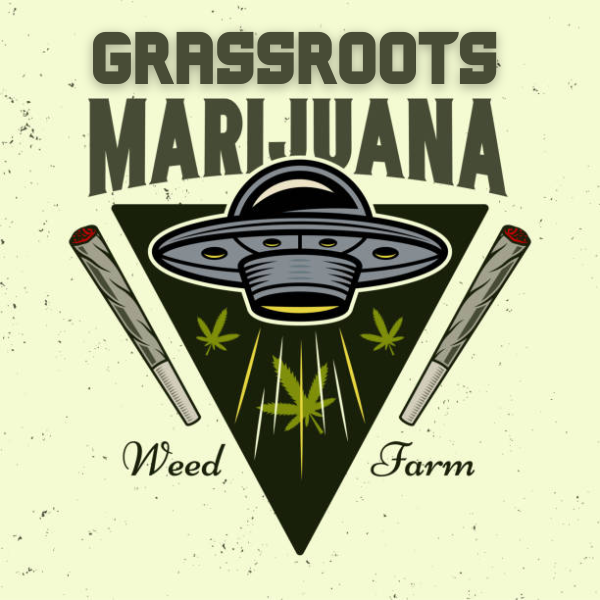 Grassrootswindsor.com
