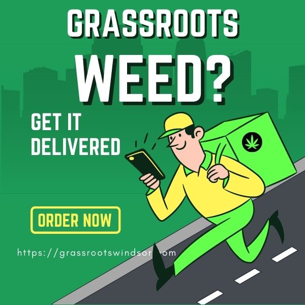 Fastest Cannabis Delivery Downtown Windsor