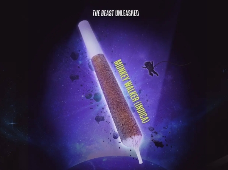 best infused pre-rolls in windsor best infused pre-rolls in windsor