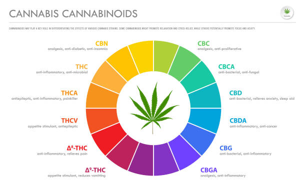 cannabinoids