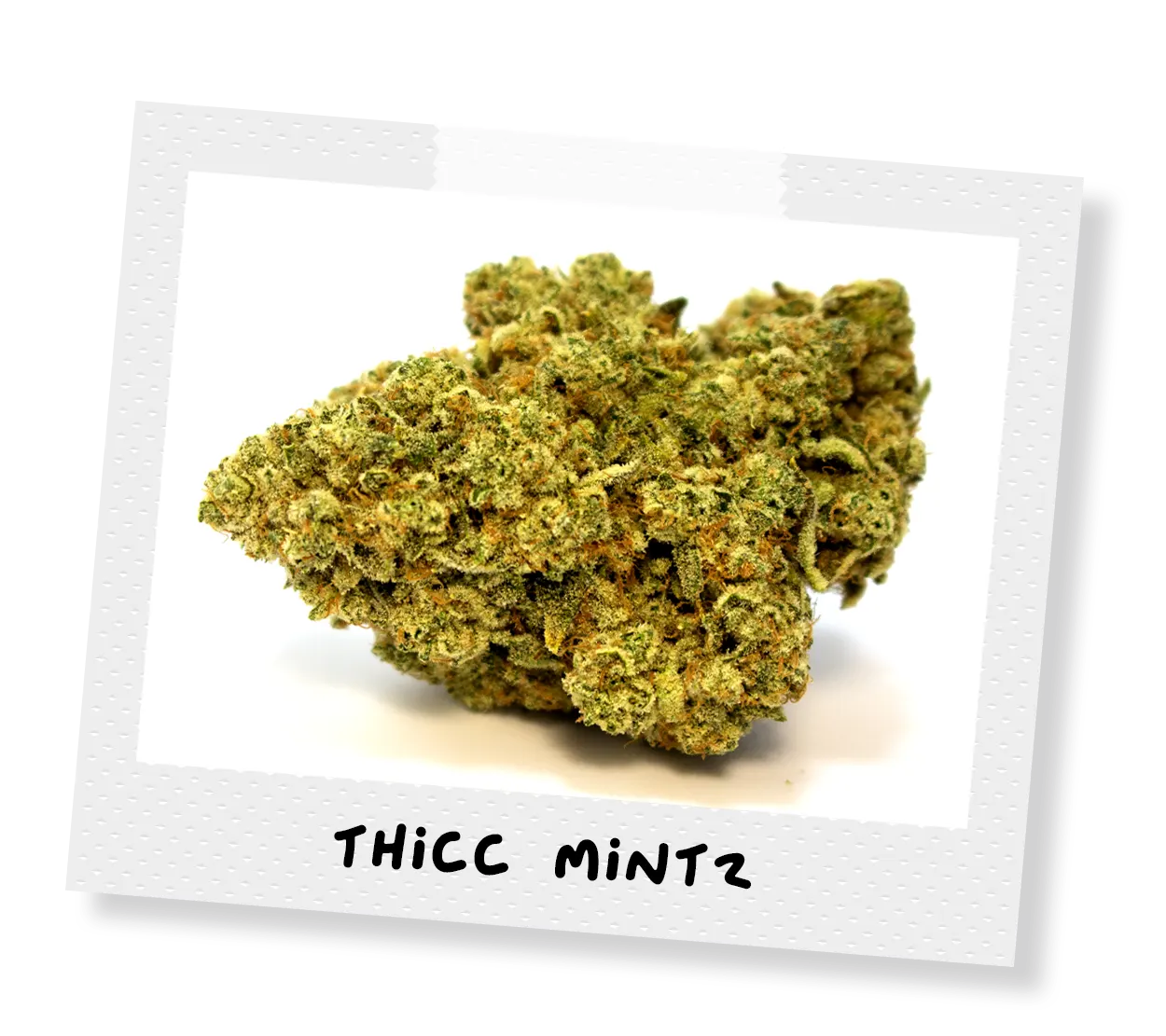 thicc mintz