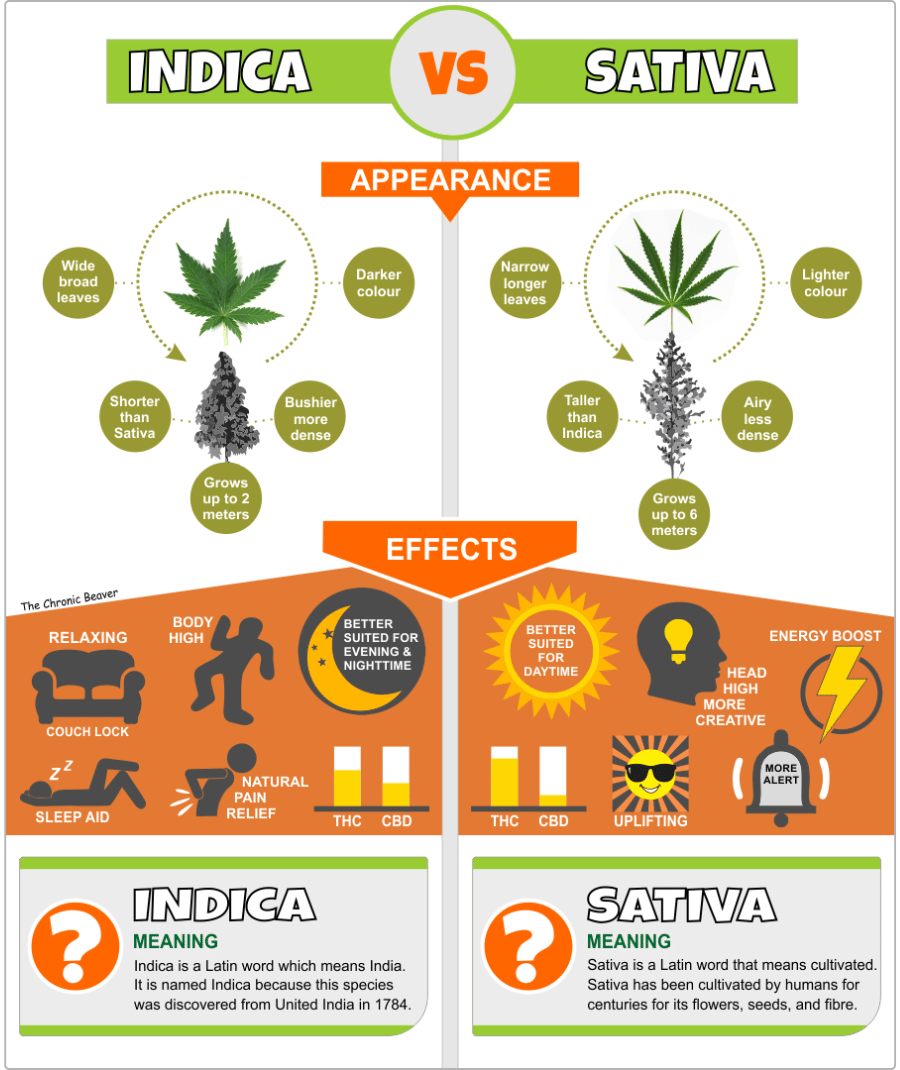 indica vs sativa, Vape pen, weed pen