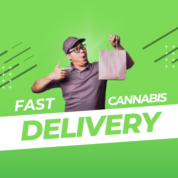 Weed delivery windsor
