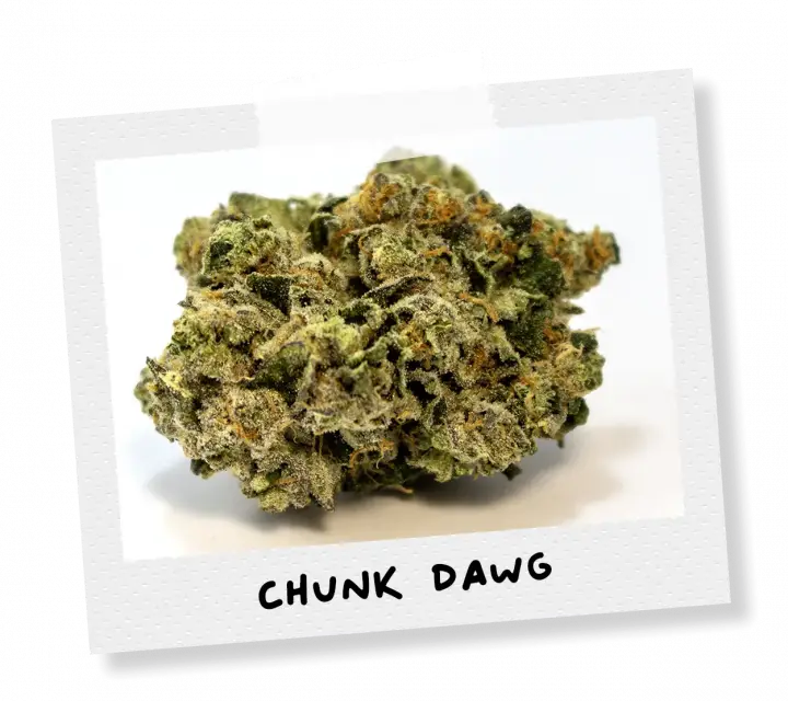 Chunk Dawg by Terp Town