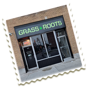 Inside Grassroots Cannabis – a behind-the-scenes look at running a cannabis dispensary in Windsor, Ontario.