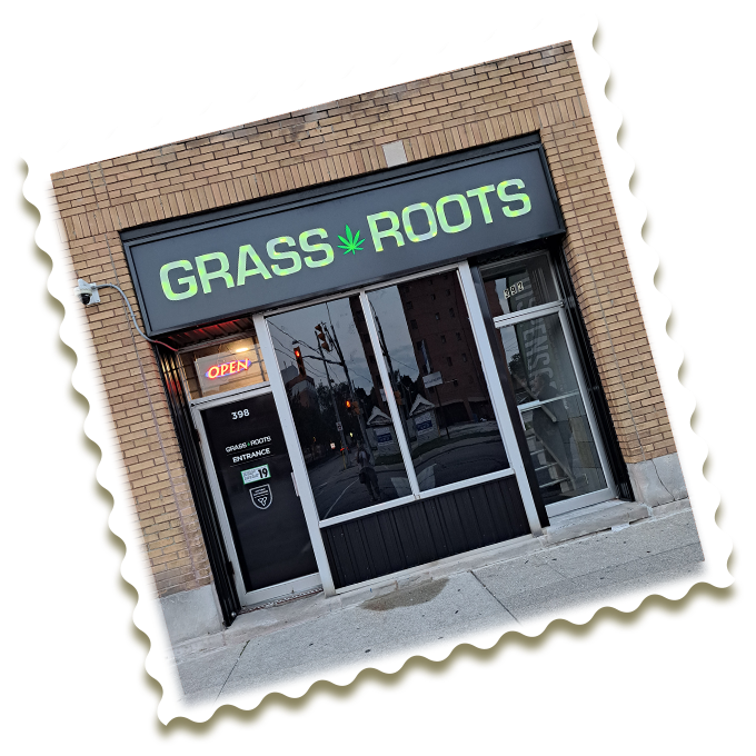 Cannabis Store Windsor
