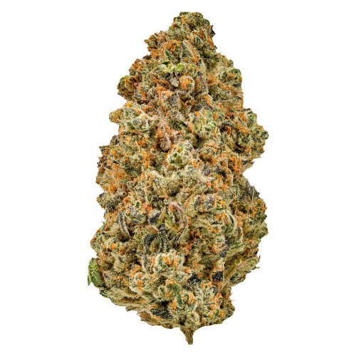 Sugar Daddy strain