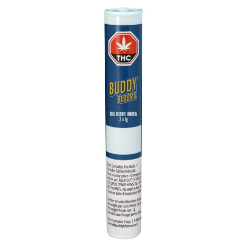 Buddy Bloom pre-rolls