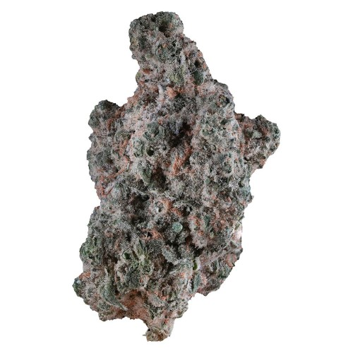 Lemon Diesel by 1964