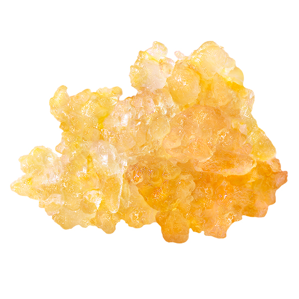 Orange Velvet Live Resin Caviar concentrate in a glass jar surrounded by bright citrus tones, representing premium cannabis extract available at Grassroots Cannabis in Windsor, Ontario.