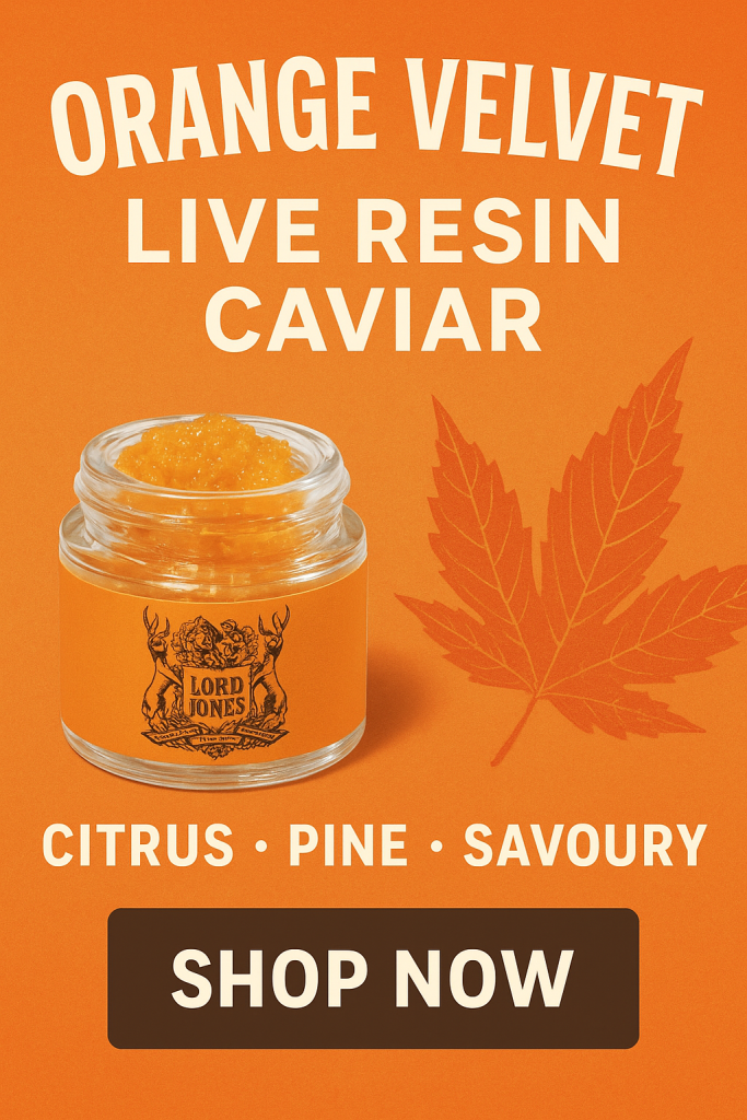 Orange Velvet Live Resin Caviar concentrate in a glass jar surrounded by bright citrus tones, representing premium cannabis extract available at Grassroots Cannabis in Windsor, Ontario.