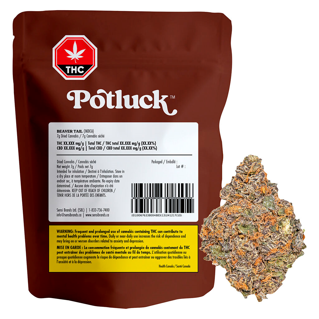 "Beaver Tail by Potluck cannabis strain dried flower close‑up"