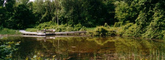 Escape the city for a bit — nature trails, quiet corners, and lovely views = prime for a mellow smoke + nature combo.