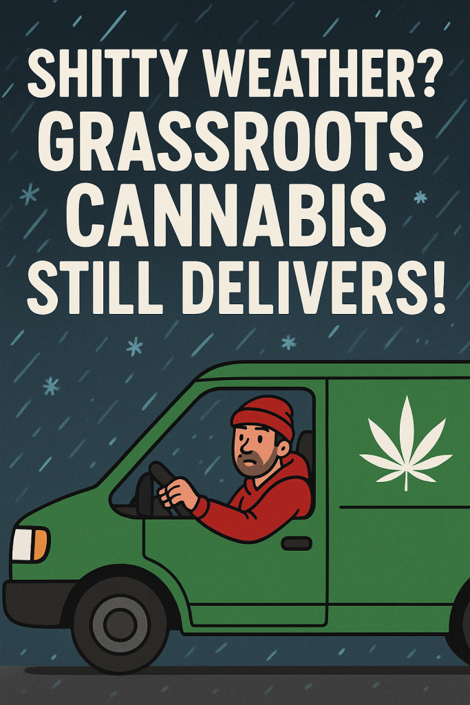weed delivery in any weather