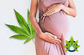 Cannabis and breastfeeding
