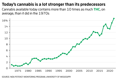 rising THC levels in marijuana