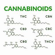 cannabis compounds